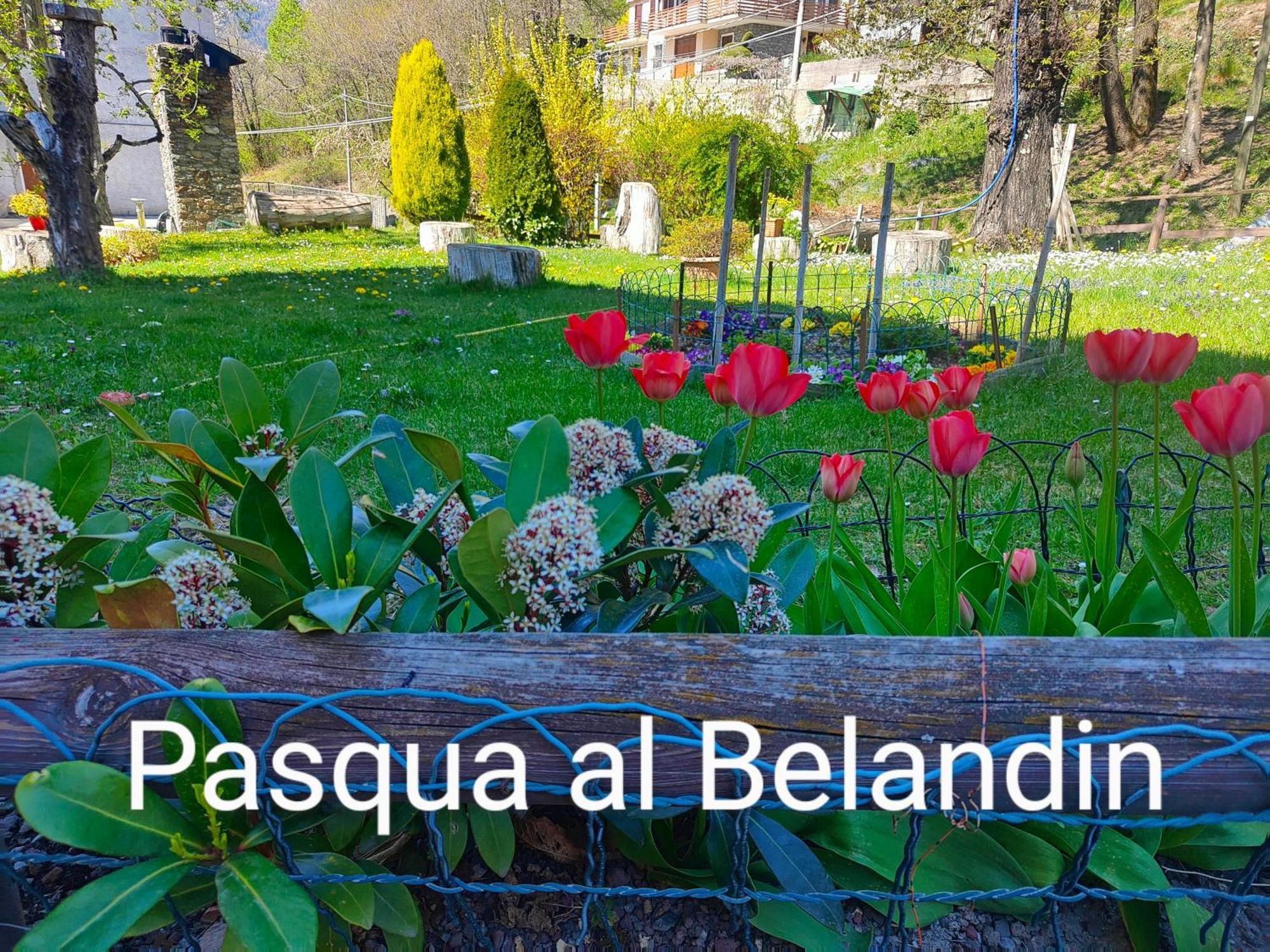 Belandin Ristorante Hotel Teglio Exteriör bild